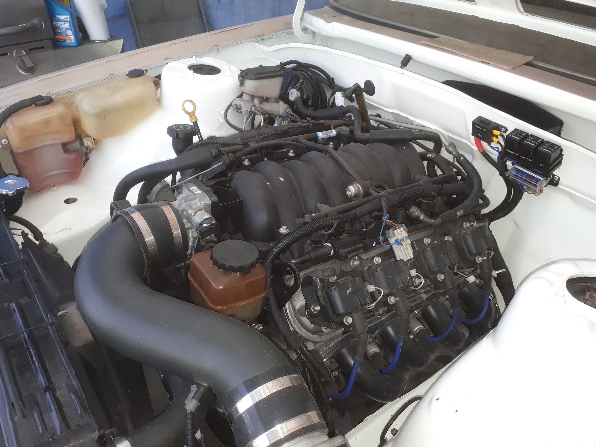 LS V8 fitted into a classic engine bay, with a labelled relay and fuse panel on the inner guard